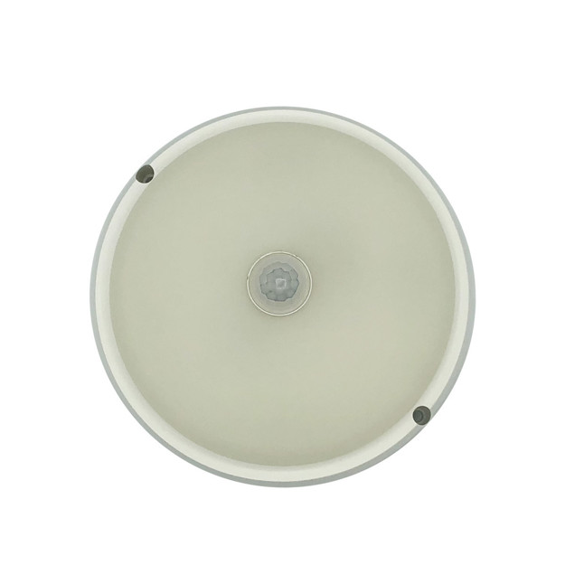 Imagen de LED Plafon c/Sensor Movimiento 12w Frio ABS