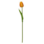 Imagen de RAMO 9 Tulipanes Amarillos