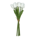 Imagen de RAMO 9 Tulipanes Blancos