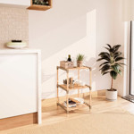 Imagen de ESTANTERIA x 3 Estantes Madera/Plastico 38x30x81cm H