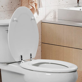 Imagen para la categoría Tapas de Inodoro