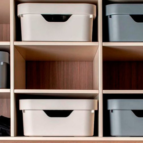 Imagen para la categoría Organización