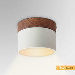 Imagen de PANEL LED 9W Calido Blanco-Madera Ø10cm