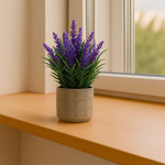 Imagen de MACETA con Suculentas de Flores