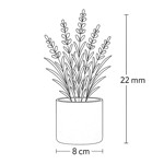 Imagen de MACETA con Suculentas de Flores