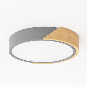 Imagen para la categoría Plafones