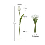 Imagen de RAMO 9 Tulipanes Blancos