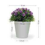 Imagen de MACETA con Flores Jasmin Arabe