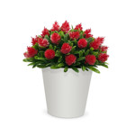Imagen de MACETA Recta D1 Flores Rojas/Lilas