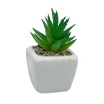 Imagen de MACETA Mini Cactus 4cm*4cm/7cm H
