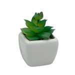 Imagen de MACETA Mini Cactus 4cm*4cm/7cm H