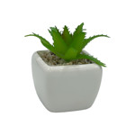 Imagen de MACETA Mini Cactus 4cm*4cm/7cm H