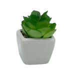 Imagen de MACETA Mini Cactus 4cm*4cm/7cm H