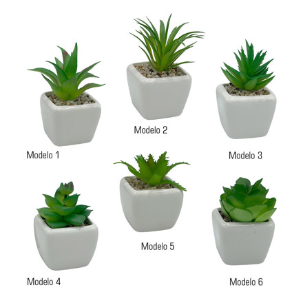 Imagen de MACETA Mini Cactus 4cm*4cm/7cm H