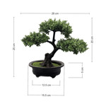 Imagen de ARBOL Bonsai 25cm H