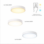 Imagen de PLAFON LED 12w Flat Blanco Ø23cm