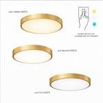 Imagen de PLAFON LED 18w Flat Oro Ø30cm