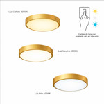 Imagen de PLAFON LED 12w Flat Oro Ø23cm