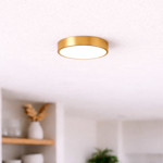 Imagen de PLAFON LED 12w Flat Oro Ø23cm