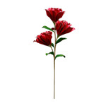 Imagen de Ramo Decorativo Flores Secas D4 95cm