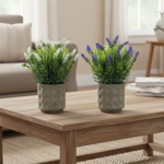 Imagen de MACETA con Suculentas de Flores