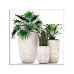 Imagen de CUADRO Canvas Marco GARDEN 40x40cm