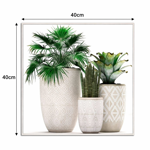 Imagen de CUADRO Canvas Marco GARDEN 40x40cm