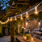 Imagen de Guia de 25 Luces 7 watts Cable Blanco