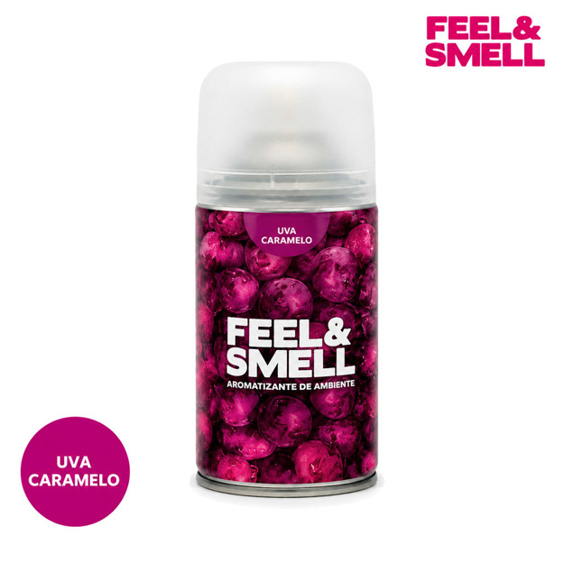 Imagen de AROMATIZADOR Uva Aerosol 270 ml