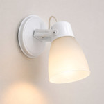 Imagen de SPOT 1 Luz E27 Tulipa Satinada Blanco