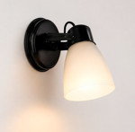 Imagen de SPOT 1 Luz E27 Tulipa Satinada Negro